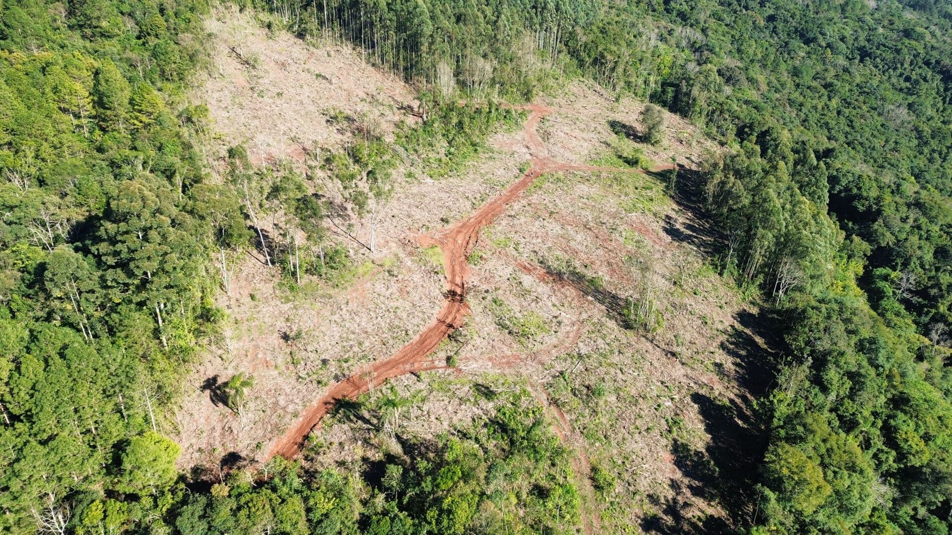 Fazenda/Sítios/Chácaras em Arroio do Meio - Linha Palmas (Distrito)