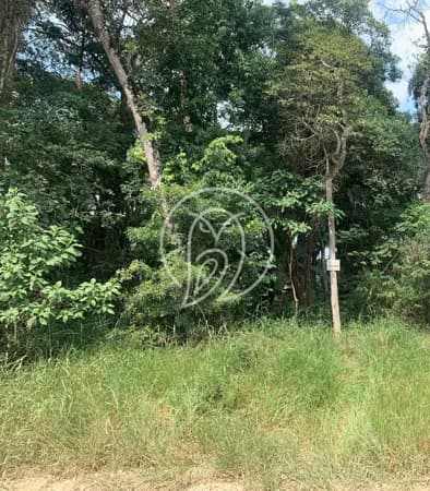 VENDE UM TERRENO COM 4 LOTES NO HORTOLÂNDIA - MAIRIPORÃ - SP.