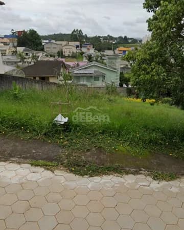 Lote/Terreno em Criciúma - Michel