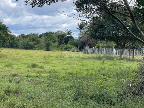 SITIO PROXIMO A LAGOA DE IBIRAQUERA - ARAÇATUBA - IMBITUBA/SC