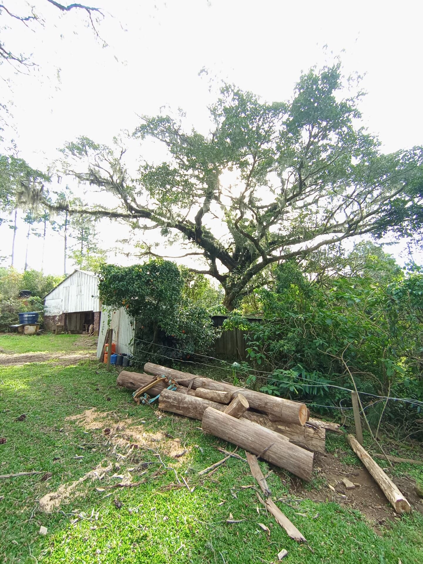 Fazenda/Sítios/Chácaras em Venâncio Aires - Linha Cipó