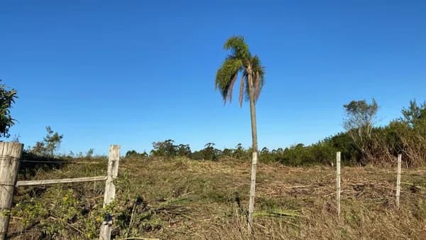 Lote/Terreno em Venâncio Aires - Linha Travessa