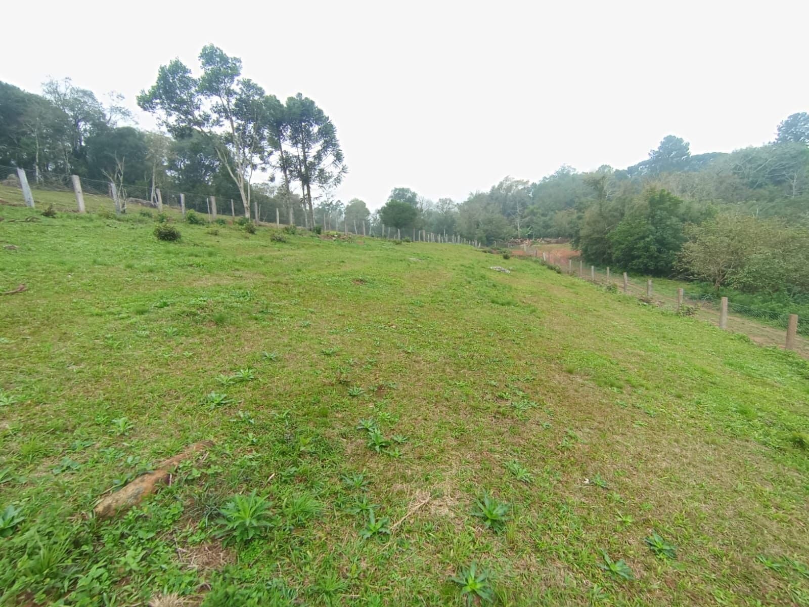 Fazenda/Sítios/Chácaras em Venâncio Aires - Linha Sapé