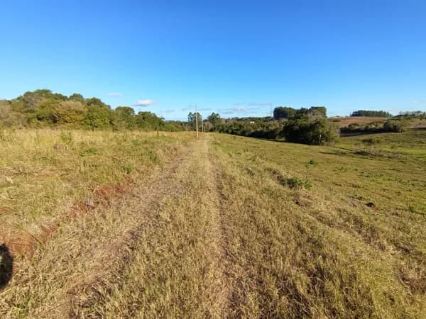 Fazenda/Sítios/Chácaras em Venâncio Aires - Linha Travessa