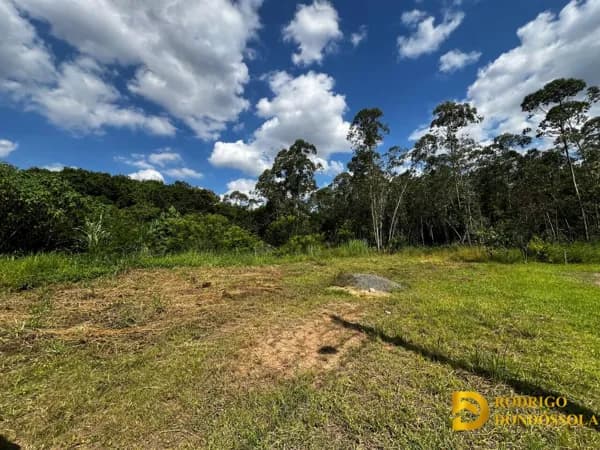 Terreno Plano no Loteamento Gentile – Bairro Rio Maina, Criciúma/SC