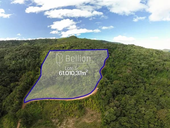 Mais de 6 hectares para quem pensa no próximo passo, terreno em Ribeirão Coração, Benedito Novo.