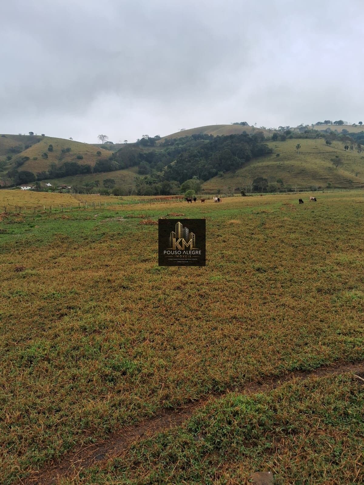Terreno - Borda da Mata-MG - R$110.000,00