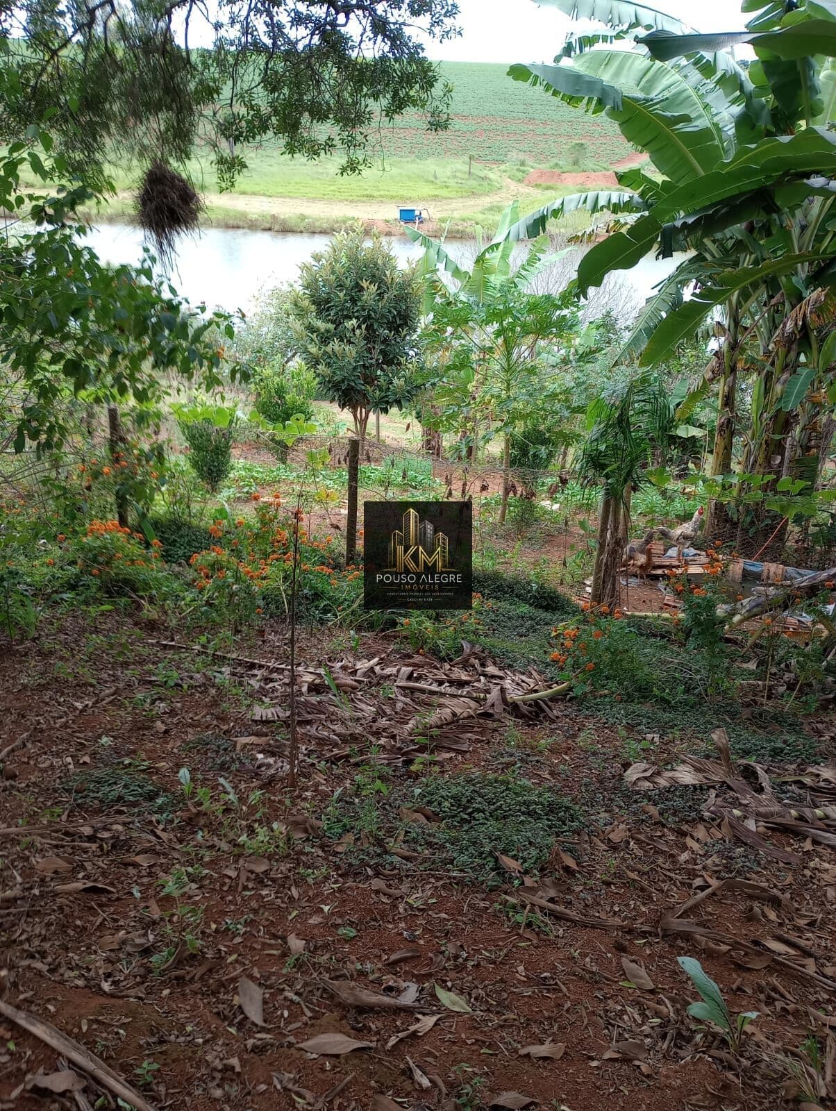 Terreno - Bairro Limeira - Pouso Alegre-MG - R$450.000,00