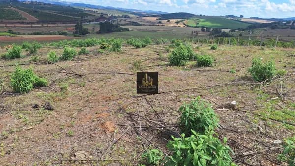 Sitio à venda em São Gonçalo do Sapucaí