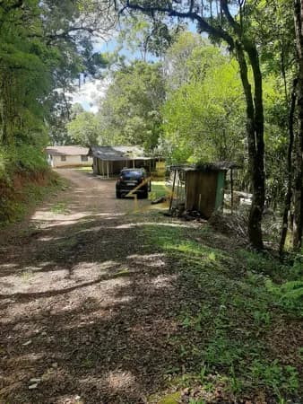CHÁCARA PARA VENDA NO PALMITAZINHO QUATRO BARRAS