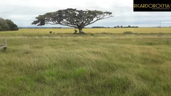 Fazenda em Viamão | 345 Hectares | Dupla Aptidão