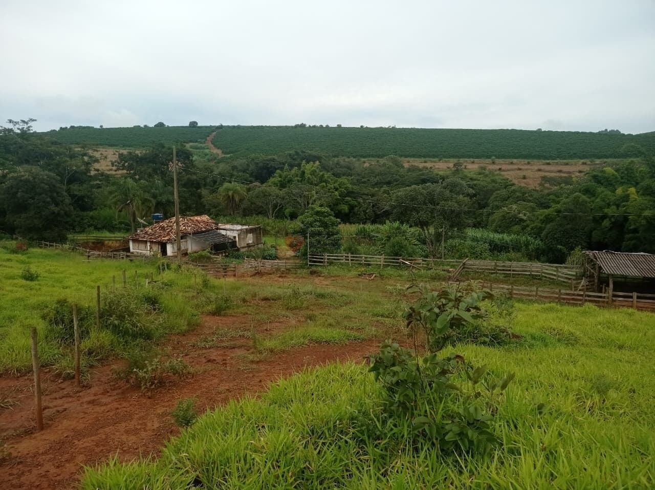 Fazenda/Sítios/Chácaras em Lavras - Área Rural de Lavras