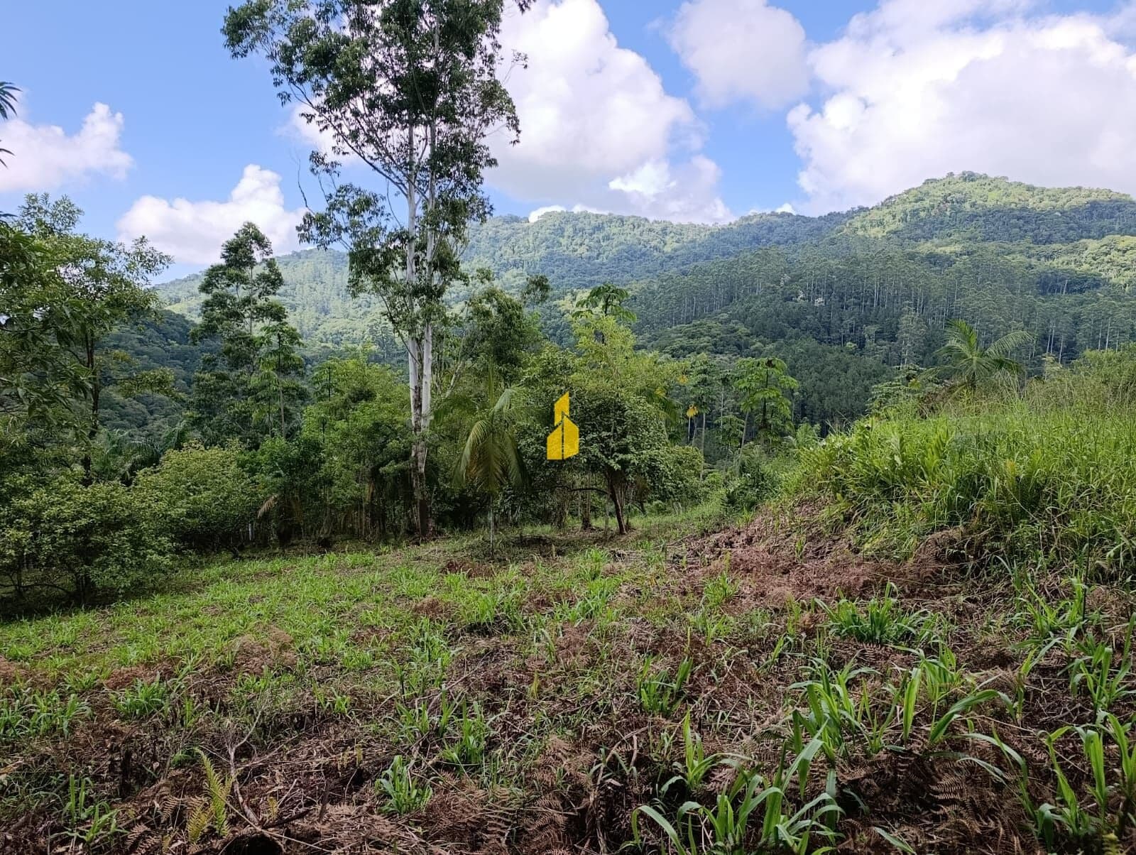 TERRENO NA CIDADE DE RIO DOS CEDROS/SC