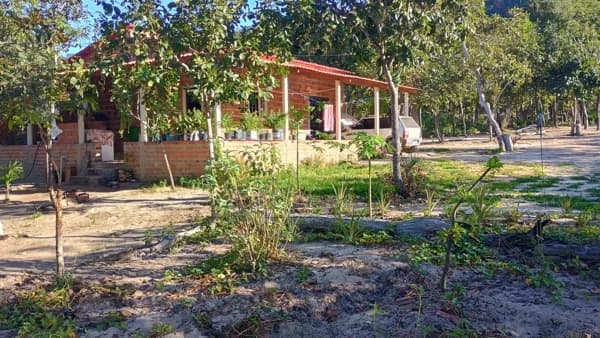 Fazenda/Sítios/Chácaras em Barreiras - Zona Rural