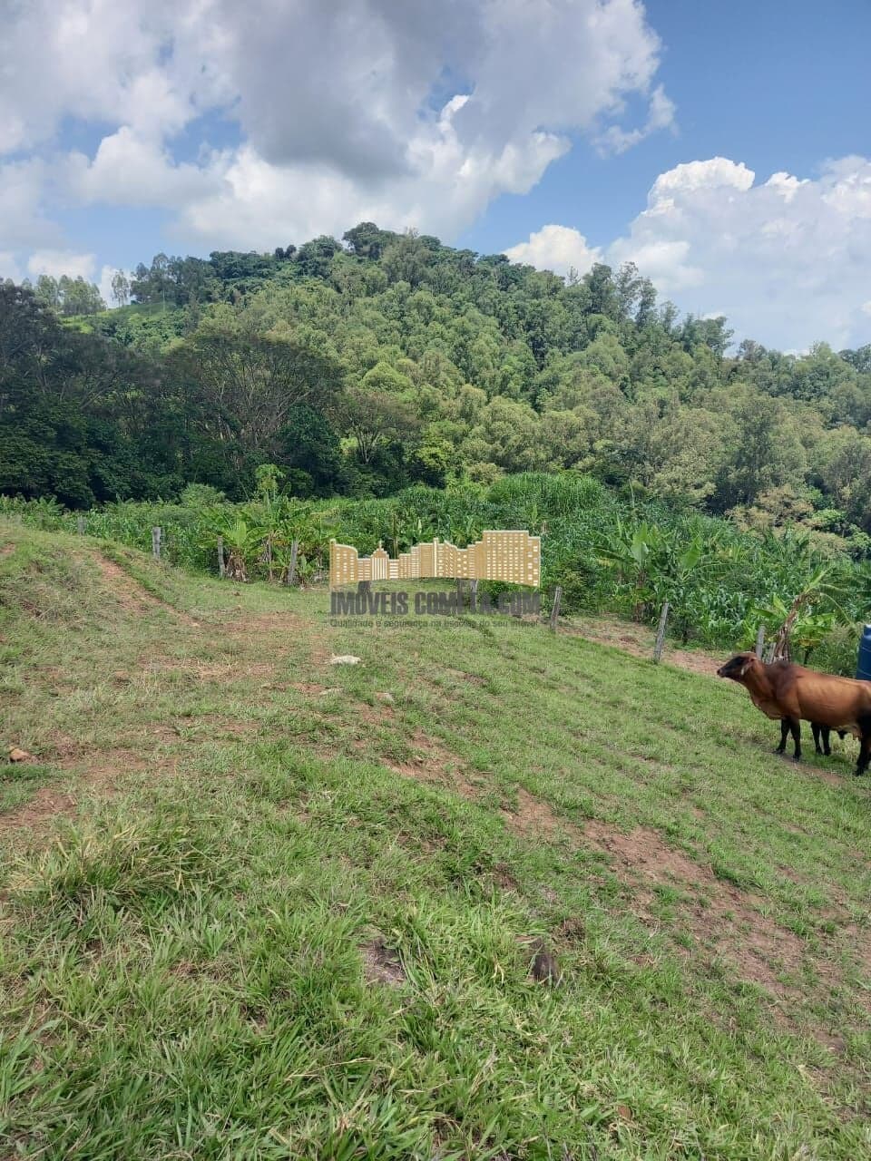 Fazenda/Sítios/Chácaras em Águas da Prata - Jardim Paineiras