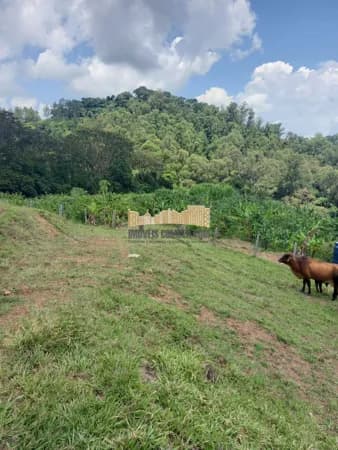 Fazenda/Sítios/Chácaras em Águas da Prata - Jardim Paineiras