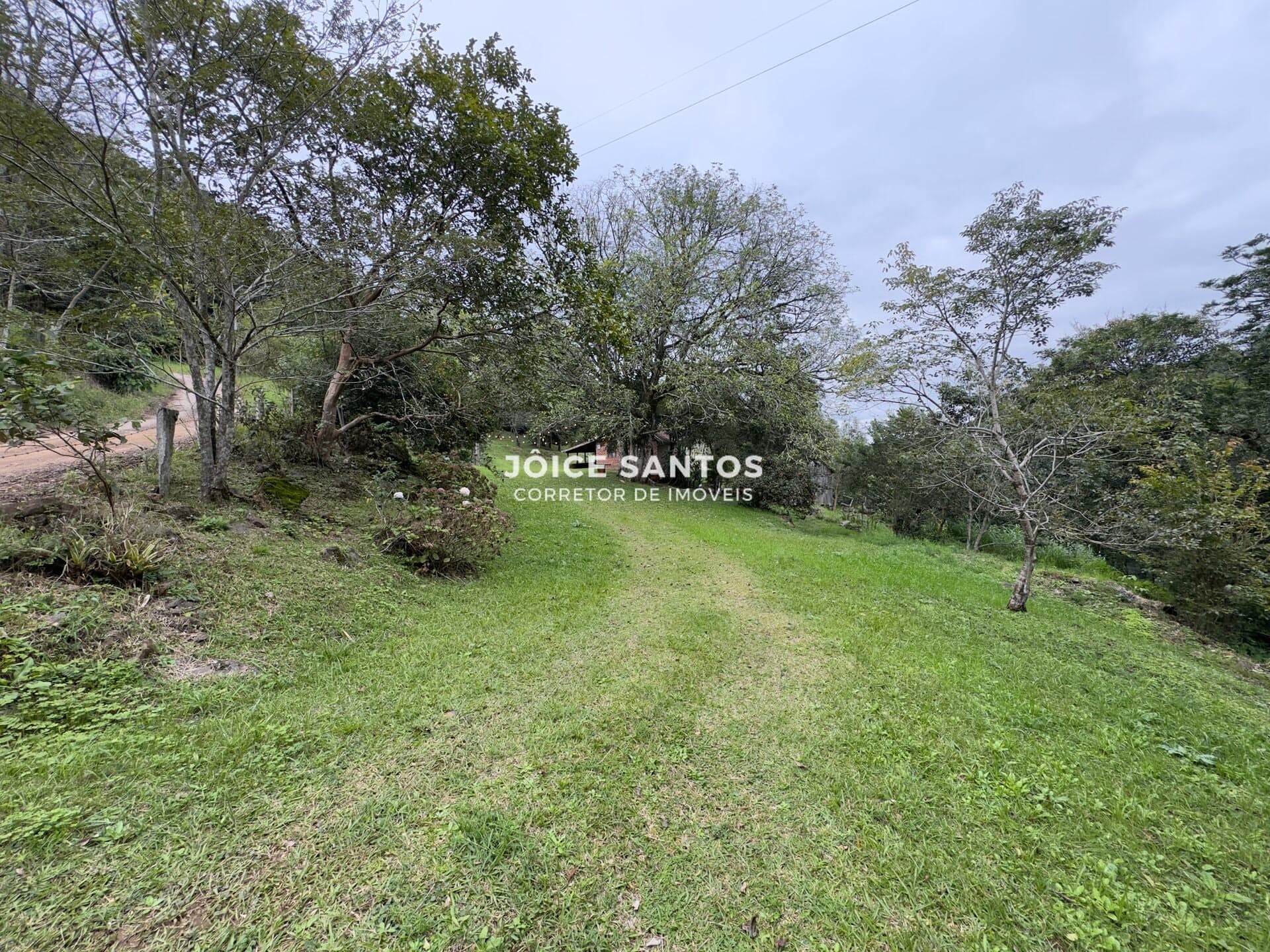 🌳🏡 Sítio à Venda na Linha Café – Três Coroas/RS 🌿✨