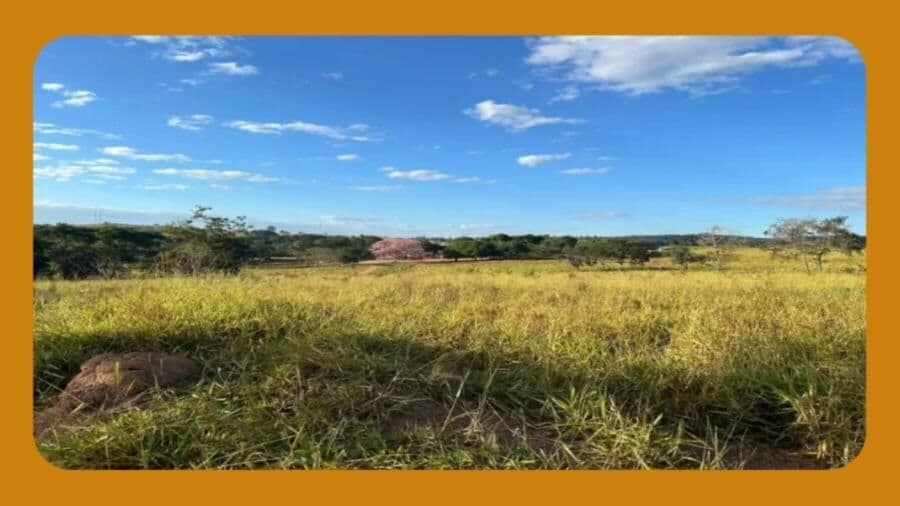 GLEBA 04-B, MEDINDO 3,77,80HA DE TERRAS, NO LUGAR DENOMINADO FAZENDA DO CANTO DA SERRA, NO CÓRREGO IPANEMA, DISTRITO DE BARRA ALEGRE, IPATINGA/MG.
