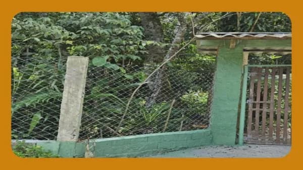 IMOVEL NA RUA LONTRA, 305, TATETOS, SÃO BERNARDO DO CAMPO/SP.