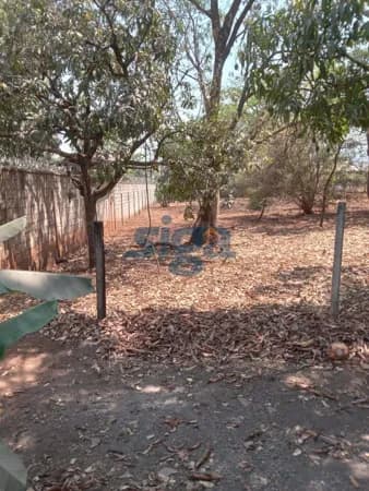 Lote/Terreno em São José da Lapa - Centro