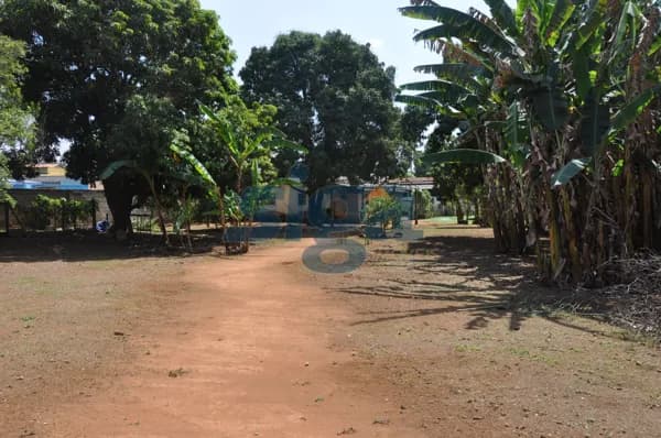 Terreno em área comercial com galpão