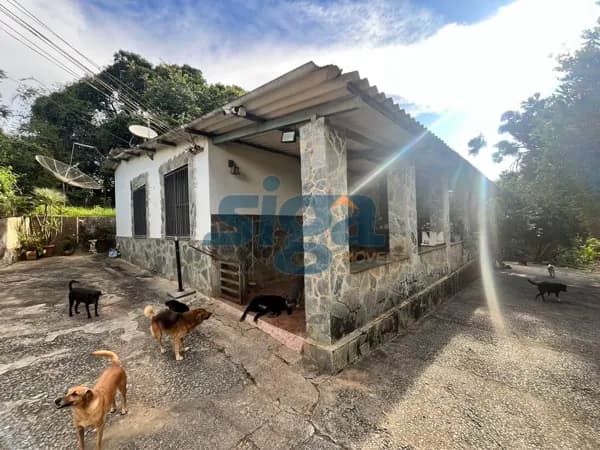 Fazenda a 5 minutos do Centro