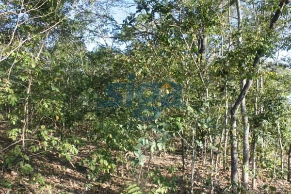 Terreno bem localizado em Jaboticatubas/MG