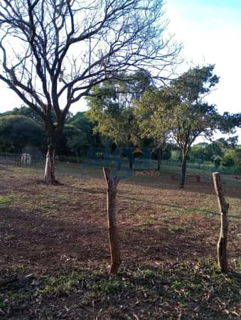 Lote/Terreno em Pedro Leopoldo - Lagoa de Santo Antonio