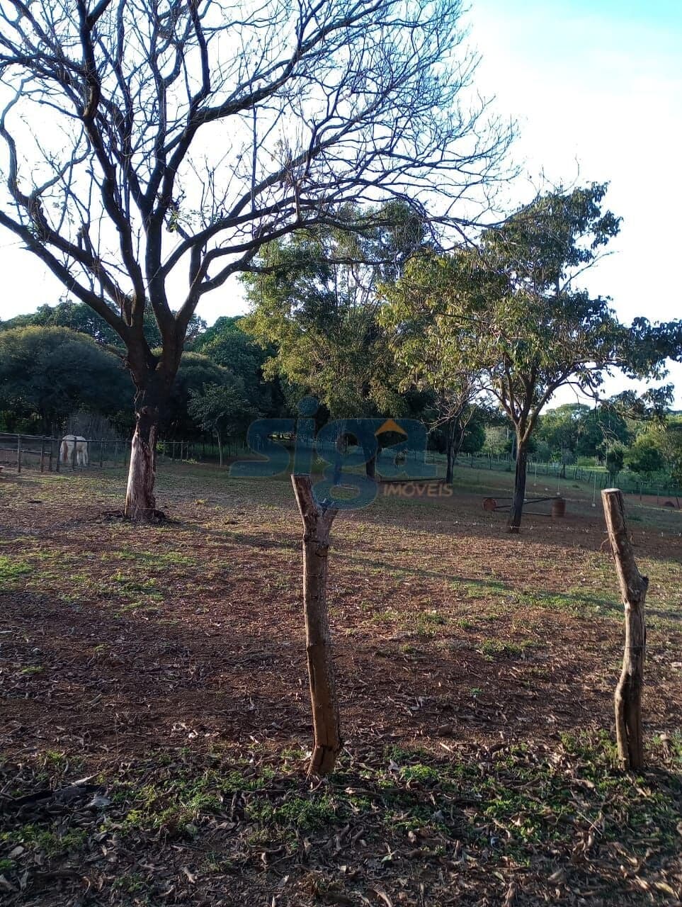 Lote/Terreno em Pedro Leopoldo - Lagoa de Santo Antonio