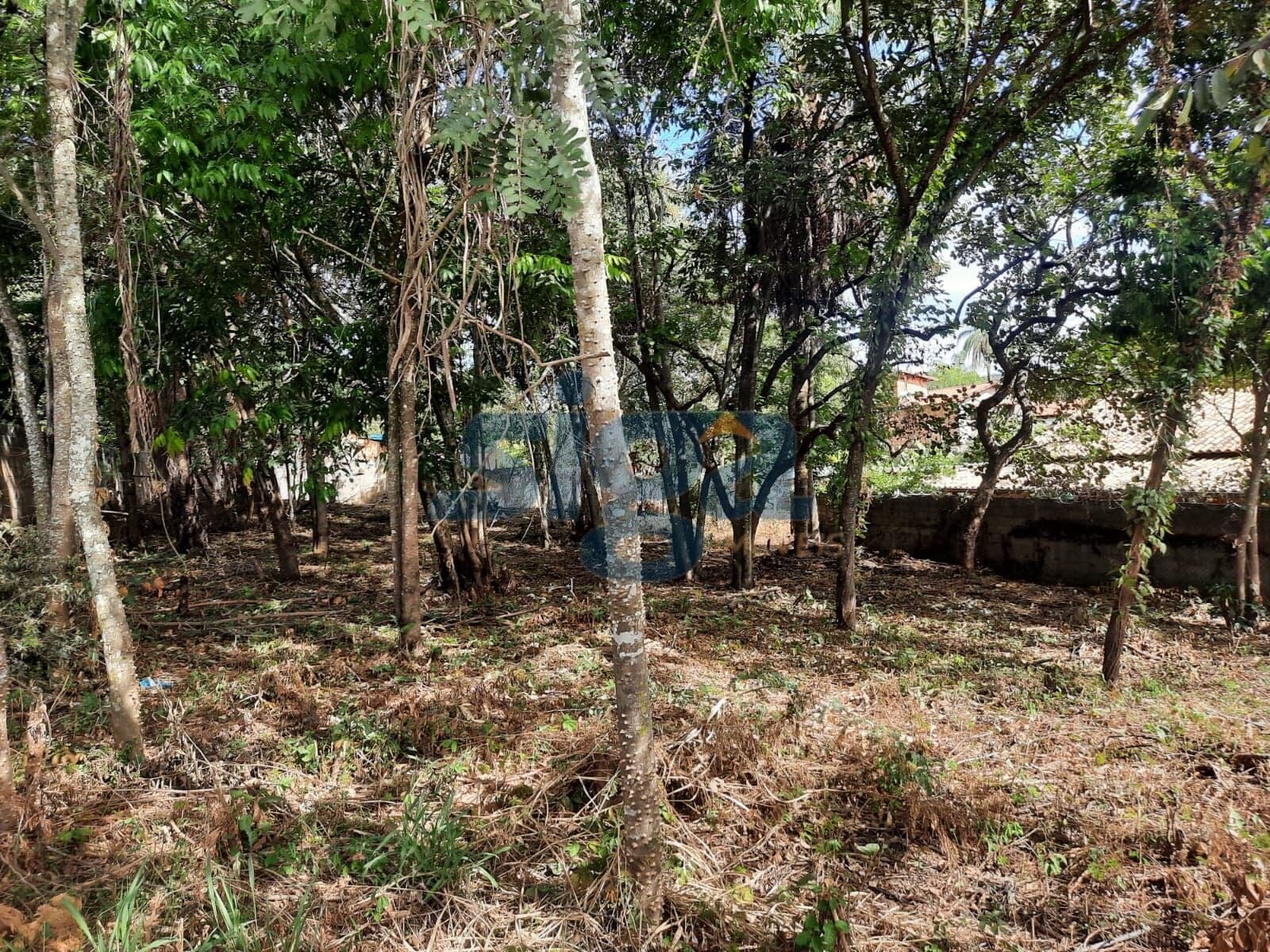 Lote de 1000m² para construir seu sonho