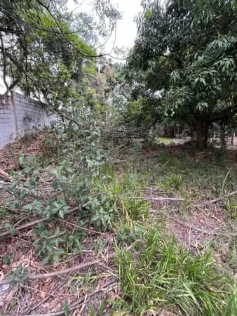 Lote/Terreno em Vargem - Centro