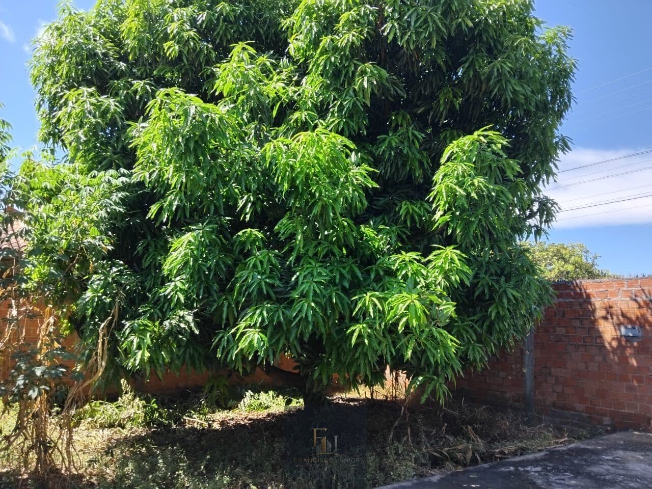 Casa á Venda - Demerval Lobão/PI