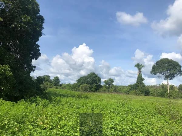 Fazenda Área Rural , Caxias/MA