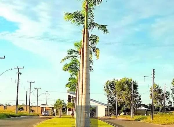 Parnaíba Residence