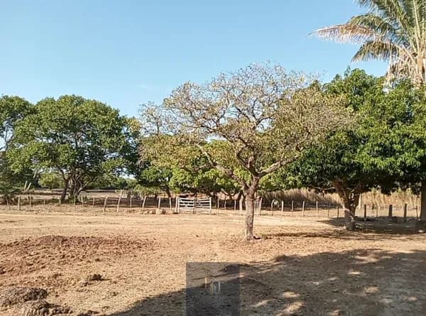 Fazenda em Centro, José de Freitas/PI