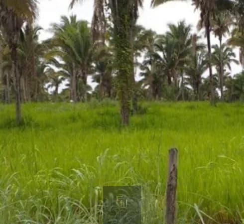 Terras á venda - São Francisco do Maranhão/MA