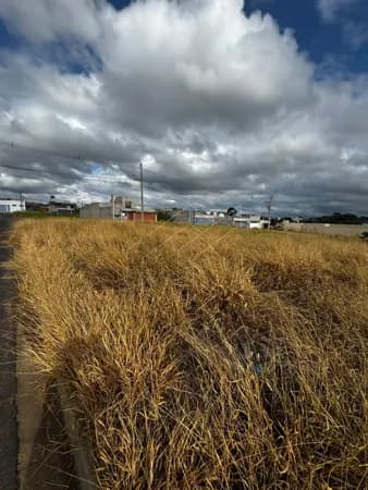 Terreno em Residencial Tellini, Franca/SP