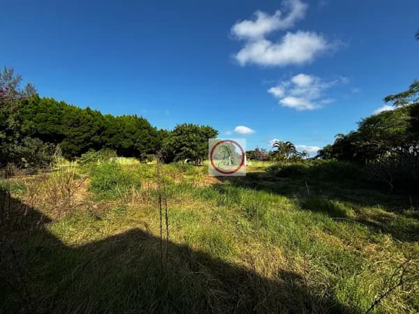 Lote/Terreno em Florianópolis - São João do Rio Vermelho