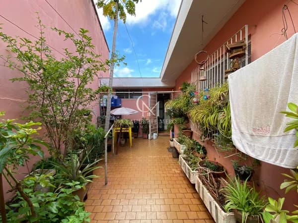 Casa em Campos Elíseos, Ribeirão Preto/SP