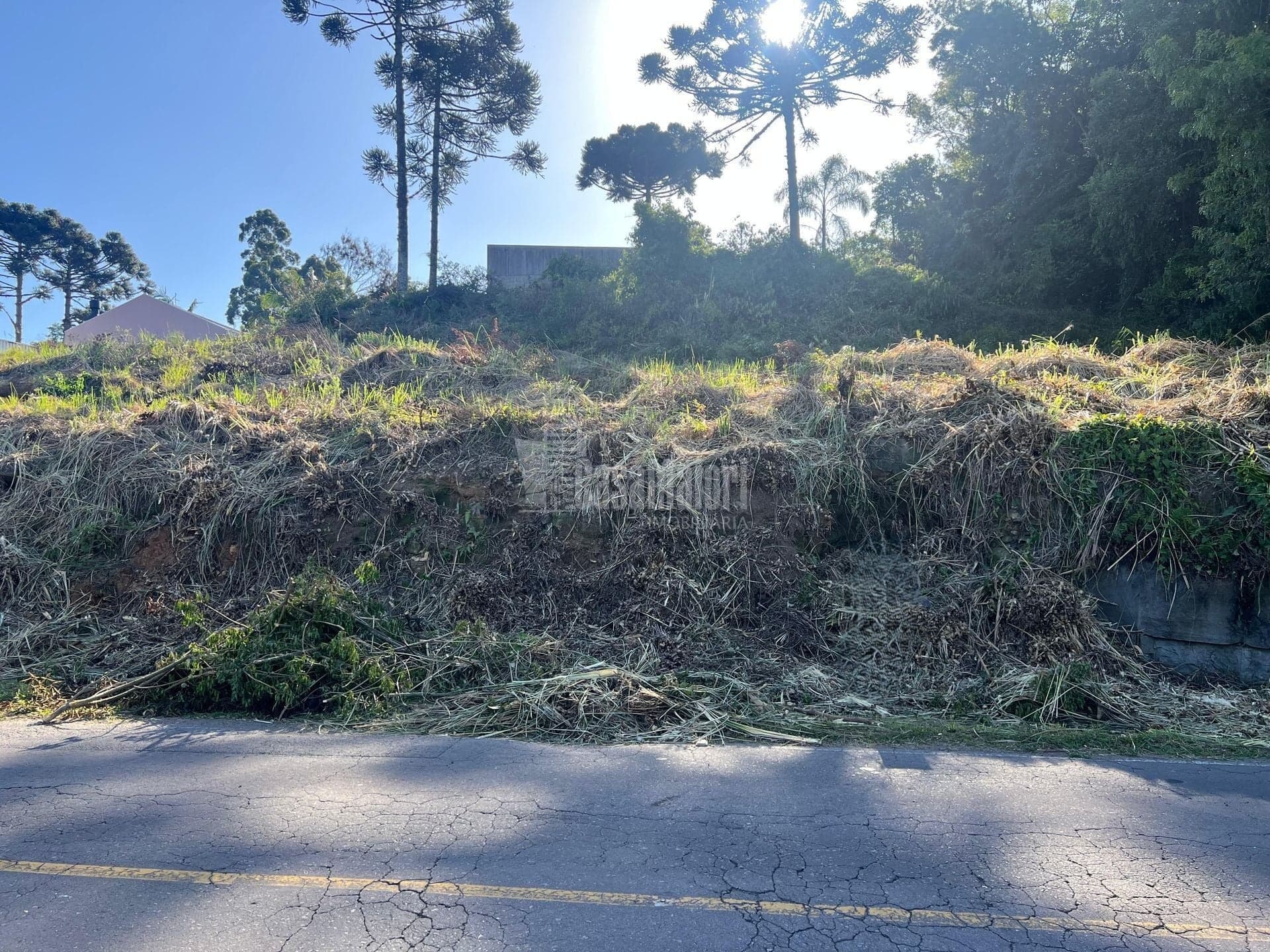 Terreno amplo de 15x41m no Loteamento São Valentim