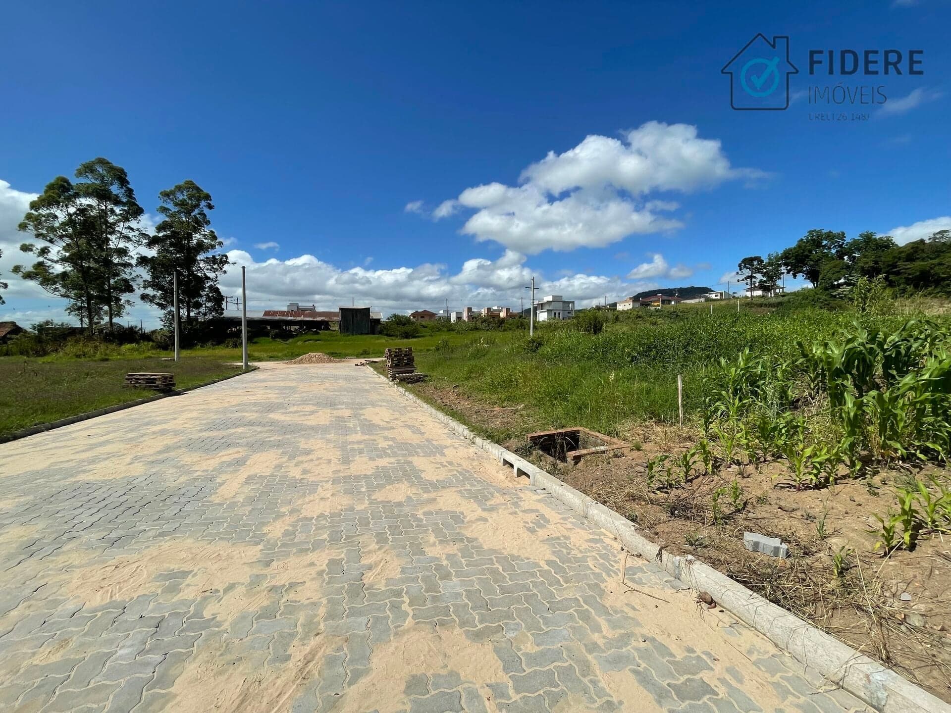 Lote/Terreno em Bom Princípio - Morro Tico Tico