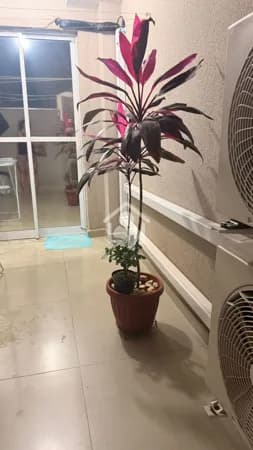 Apartamento Condomínio Residencial TOP III