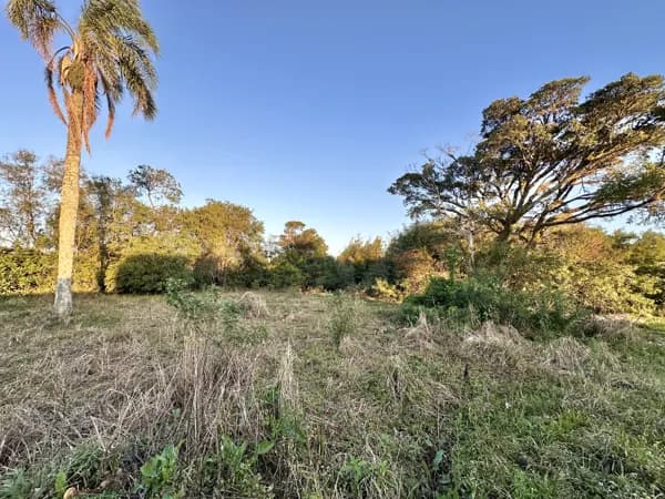Lote/Terreno em São Lourenço do Sul - Medianeira