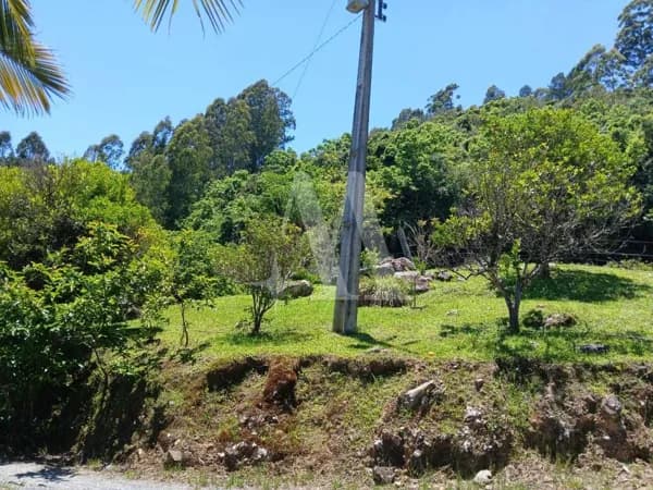 Fazenda/Sítios/Chácaras em Vidal Ramos - Centro