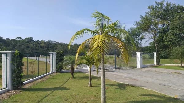 Terreno em Condomínio de chácaras, localizado em Pirabeiraba, Joinville