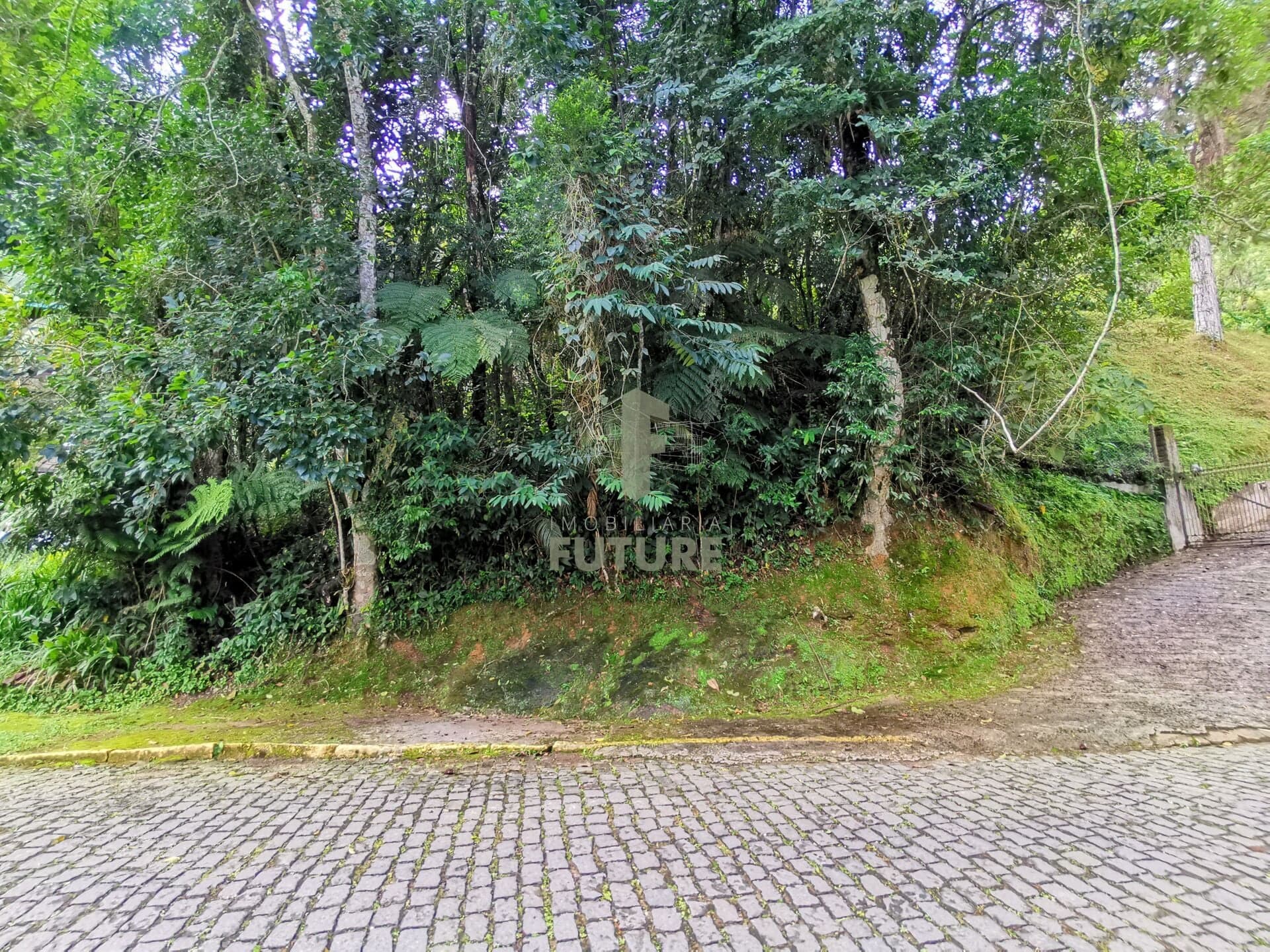 Terreno a venda em Condomínio no bairro do Comary, Teresópolis/RJ