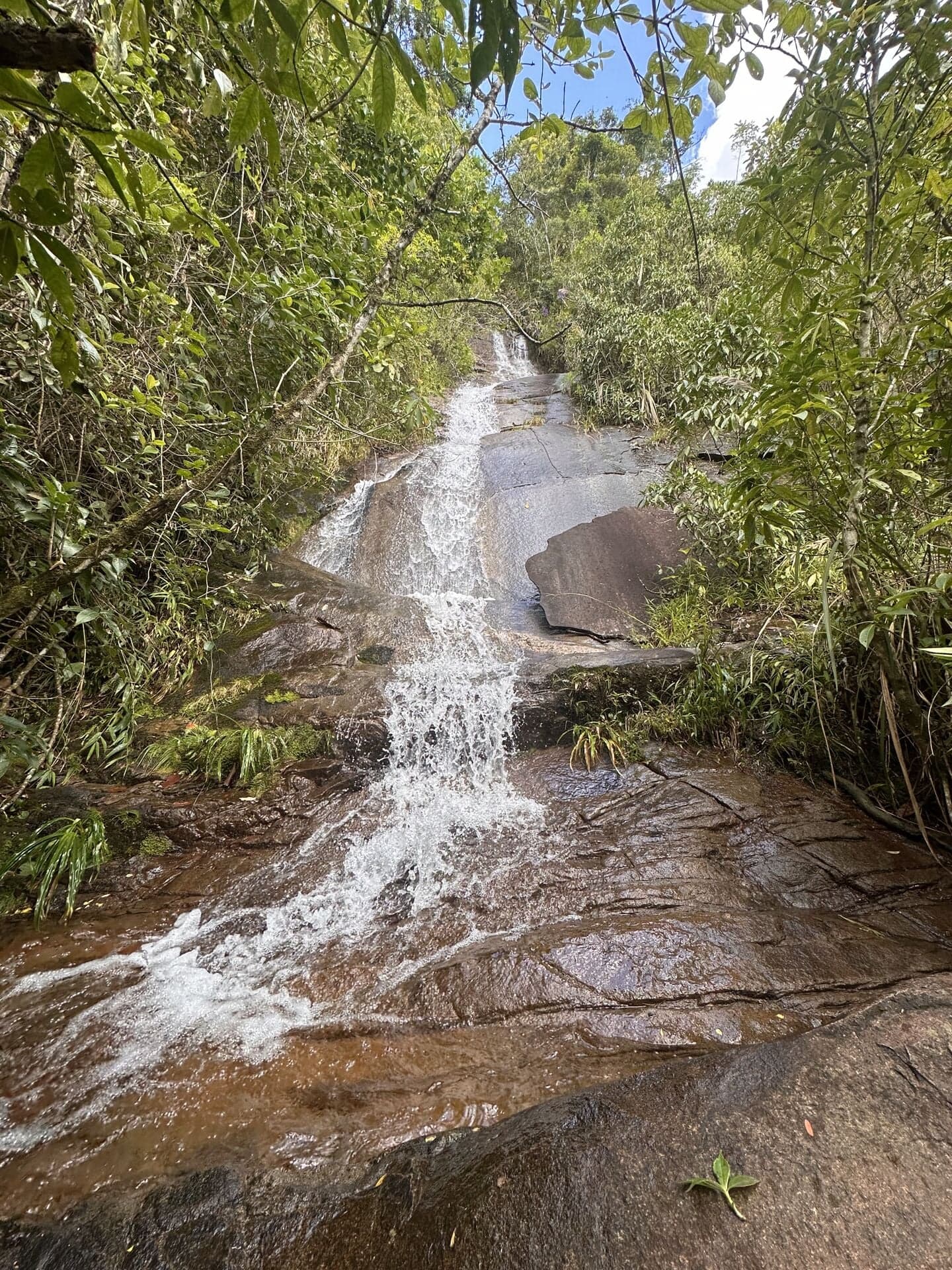 Propriedade Rural de 39,4 ha com Nascentes e Cachoeiras em Lumiar