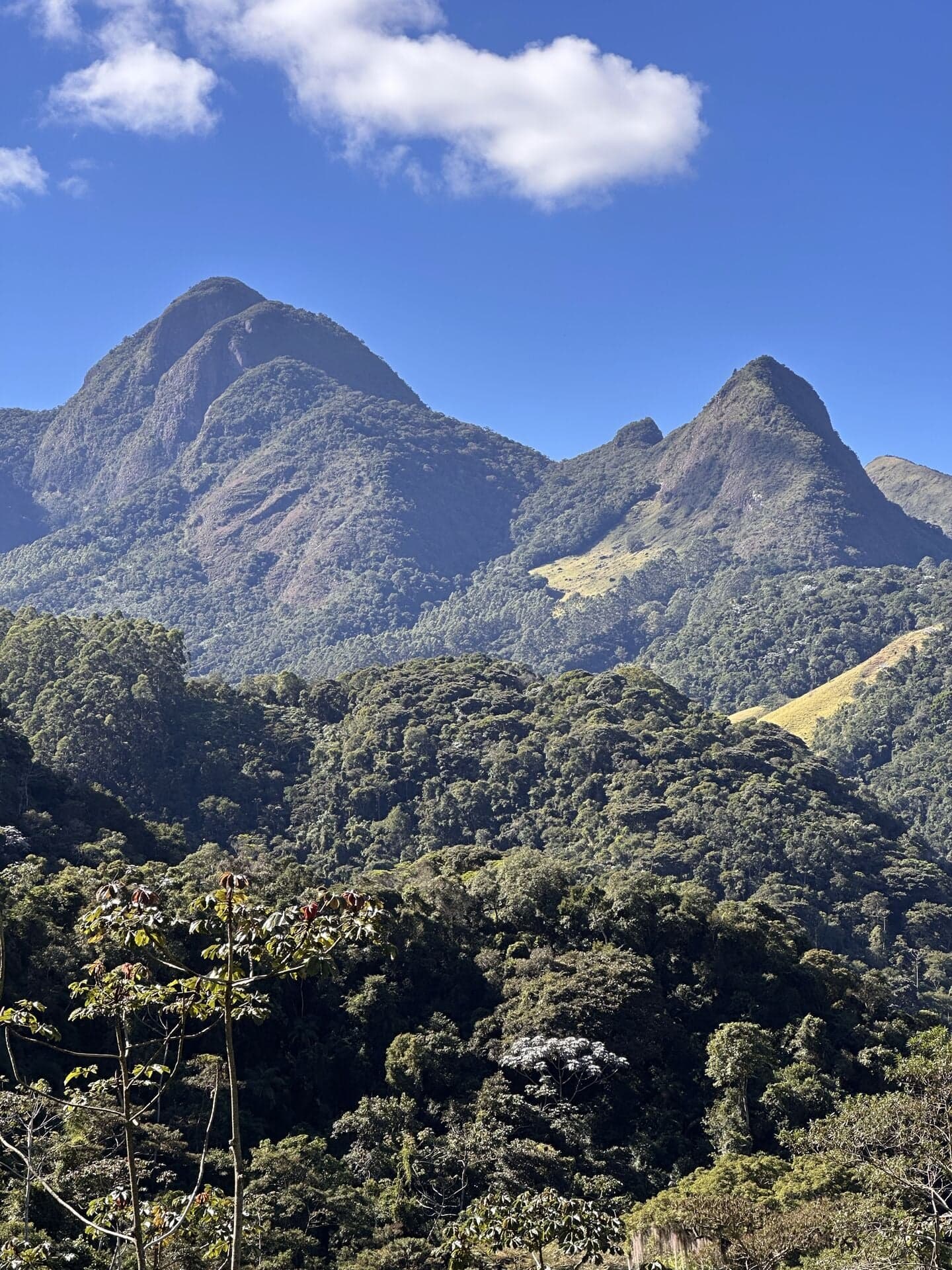Sítio de 54.000 m² com 2 Nascentes