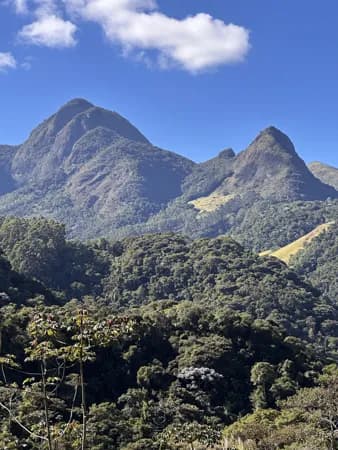 Sítio de 54.000 m² com 2 Nascentes
