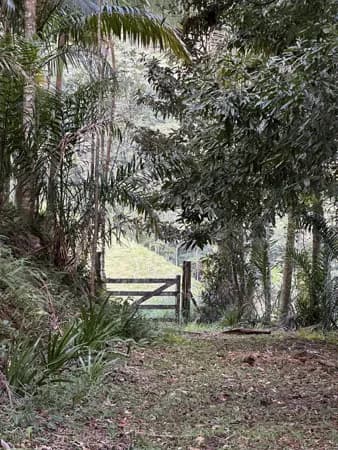 Propriedade Rural com Casa de 305 m² e Riacho